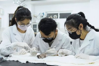 ​二本院校的“医学生”