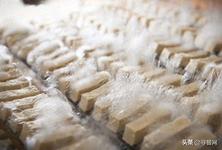 豆腐的十种存在形式，你最喜欢吃哪种豆腐呢？