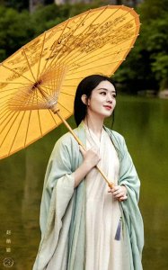 ​赵丽颖凭借角色再次入