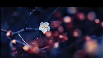 ​刘慈欣:未来可能很多人