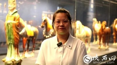 ​长安守宝人丨陕西唐三