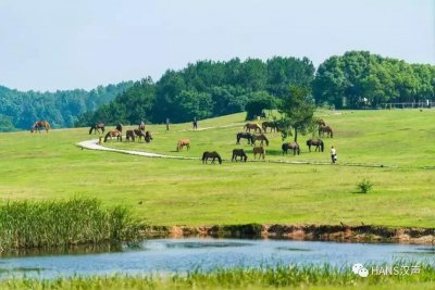 ​出门去！武汉出发，自驾1小时，邂逅夏日大美木兰草原！