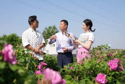 ​云赏玫瑰正当时！因为“一朵花”而爱上“一座城”