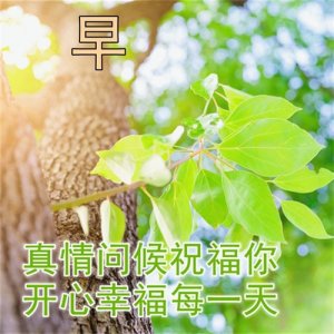 ​中老年温馨问候表情包