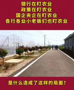 ​为什么现在很多人盯着