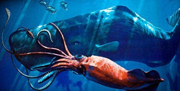 9层楼高的鱿鱼，生活在深海中，能与鲸鱼搏斗