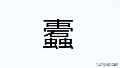 ​蠹鱼是什么鱼？你见过