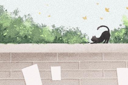 如何处理女朋友吵架闹分手的情况