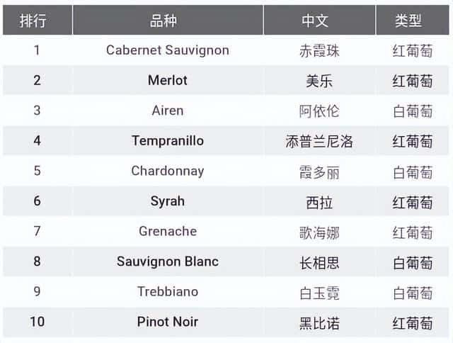 种植葡萄哪个品种最好（现在最火的葡萄品种）