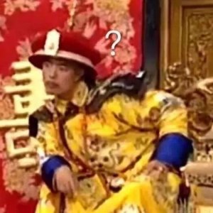 ​问号表情包丨灵魂？？