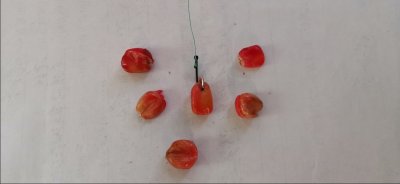 ​野钓使用玉米时如何挂