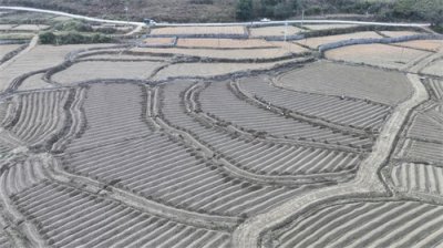 ​韶关乐昌：“早”字当