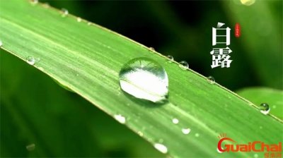 ​白露节气的含义是什么