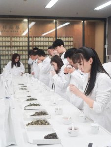 ​【茶周知】两岸茶农漳