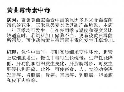 ​黄曲霉毒素中毒反应（