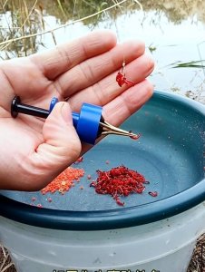 ​红虫安全挂钩技巧（红