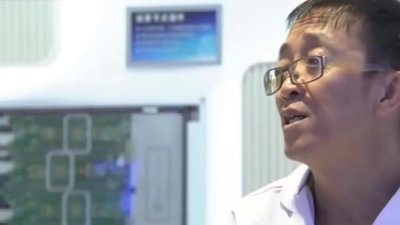 为何乌龟的寿命很长？科