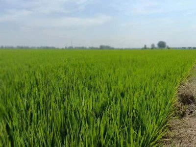 ​凤台县属于哪个市（淮