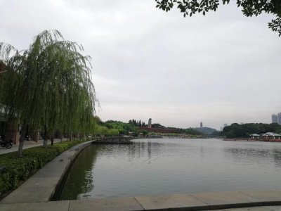 ​桂城千灯湖旅游攻略（