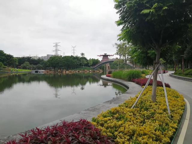 桂城千灯湖旅游攻略（地铁广佛线佛山无敌漂亮的千灯湖一日游攻略A篇）(20)