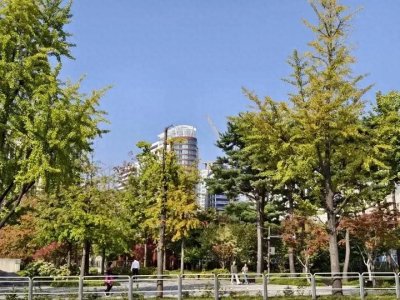 ​韩国青瓦台，现在随便