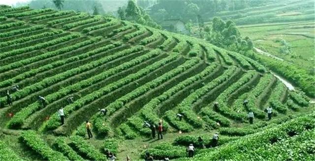 清远最好的旅游景点（这16个景点不容错过）(9)