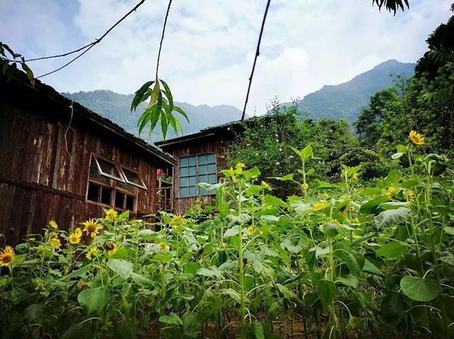 清远最好的旅游景点（这16个景点不容错过）(7)