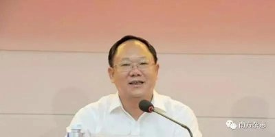 ​自称“受了市委书记压
