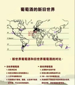 ​意大利十八罗汉葡萄酒