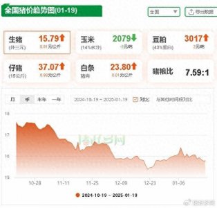 ​1月19日生猪价格：北方