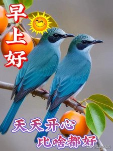 ​今天最新版漂亮早上好