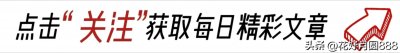 ​寡妇大多都长寿，有这