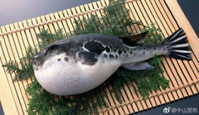 ​河豚鱼有剧毒，千万别