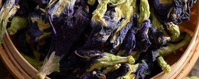 ​蝶豆花可以直接吃吗 蝶