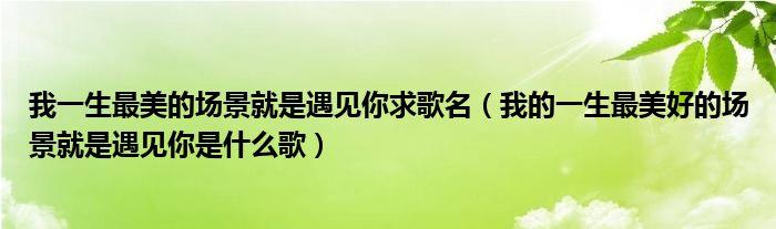 我的一生最美好的场景就是遇见你这是什么歌的歌词（你有听过吗）