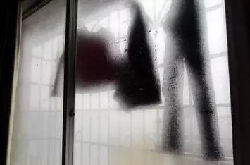 回南天八个小妙招防潮祛湿(回南天来了教你除湿妙招)(9)