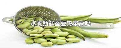 ​新鲜蚕豆水煮好吃吗 新