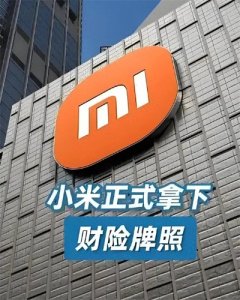 ​小米品牌保险的成立：
