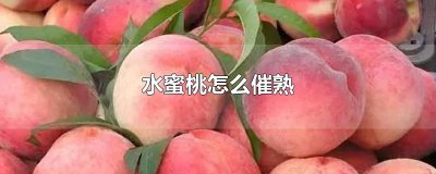 ​水蜜桃怎么催熟
