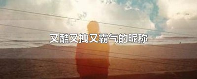​又酷又拽又霸气的昵称