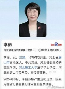 ​河北女贪官李丽被双开
