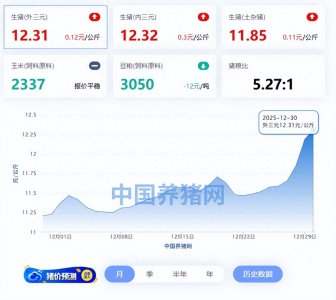 ​12月30日猪价：涨势略有
