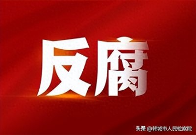 ​张振飞、陈斌、周东波