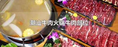 ​潮汕牛肉火锅牛肉部位