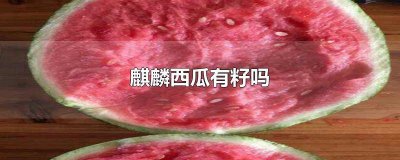 ​麒麟西瓜籽 麒麟西瓜为