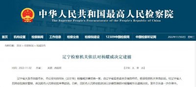 ​大连市公安局原局长杨